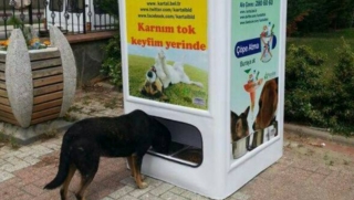 Convenience and Accessibility of Pets Machines for Owners